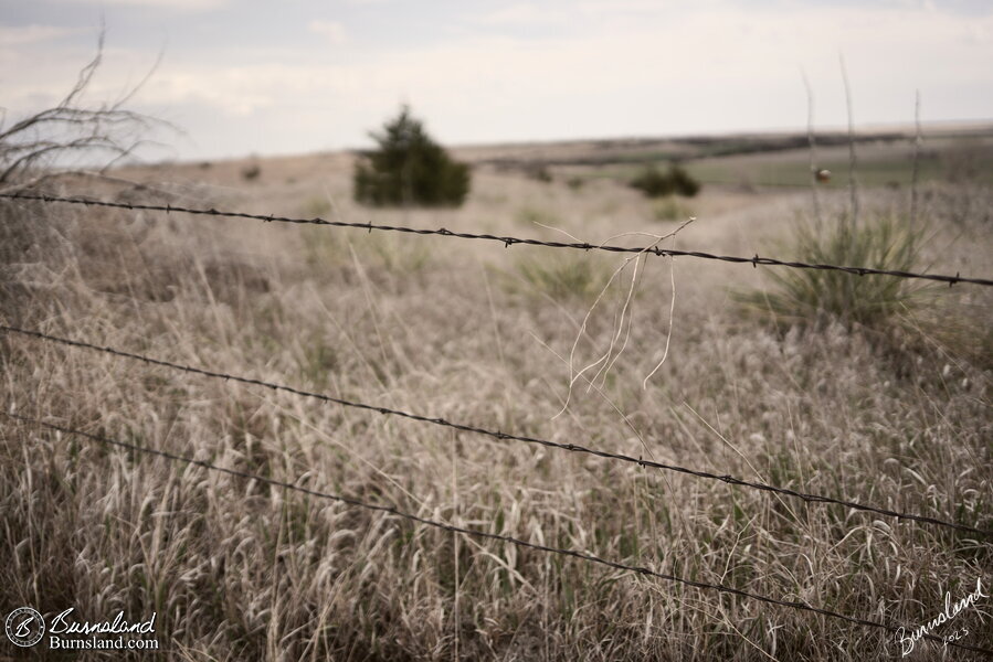 Barb wire fence at Cheyenne Bottoms wildlife area in Kansas