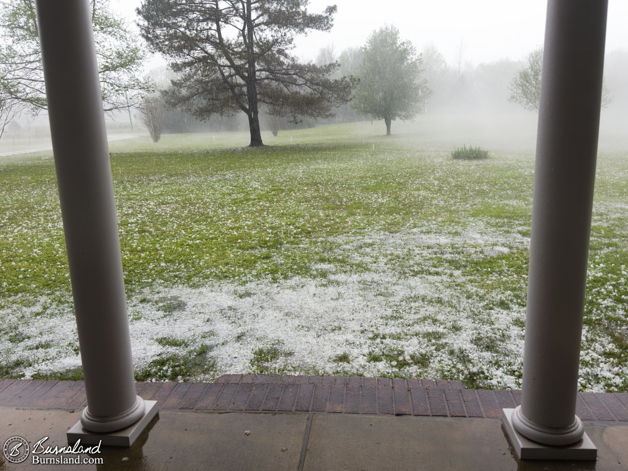 Hail in our front yard