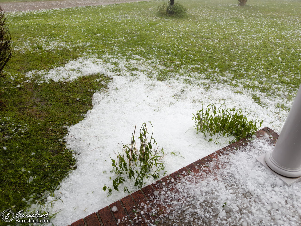 Hail in our front yard
