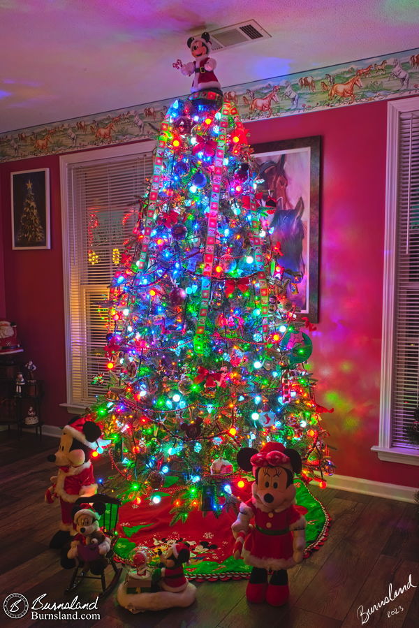 Our Christmas tree for 2023 stands proudly in our den, lighting up the night