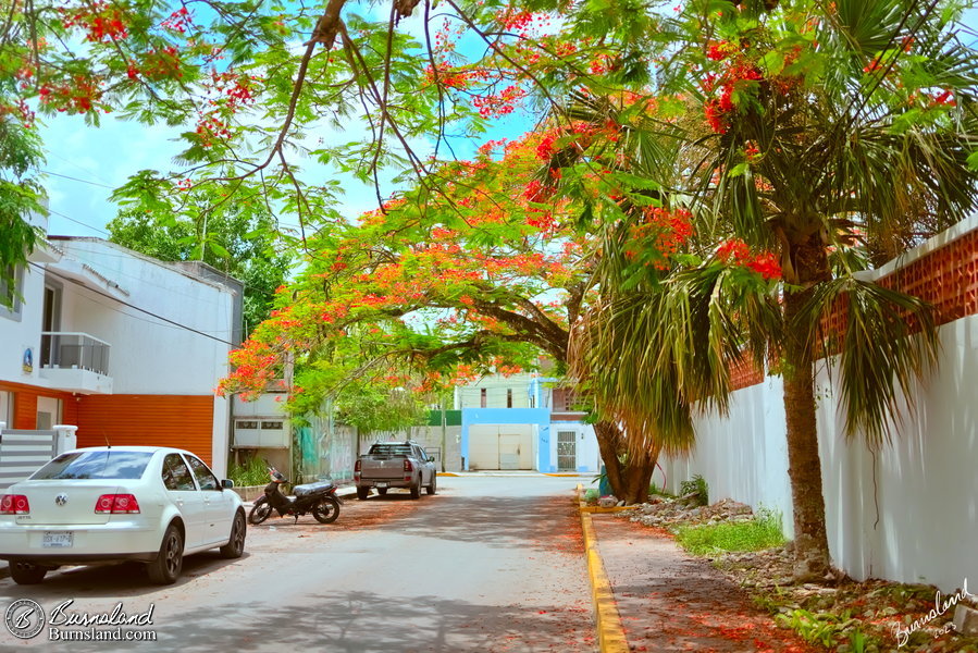 A street view in Cozumel, Mexico