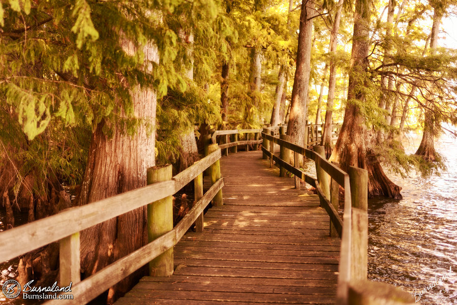 Boardwalk in Reelfoot Lake State Park in Tennessee
