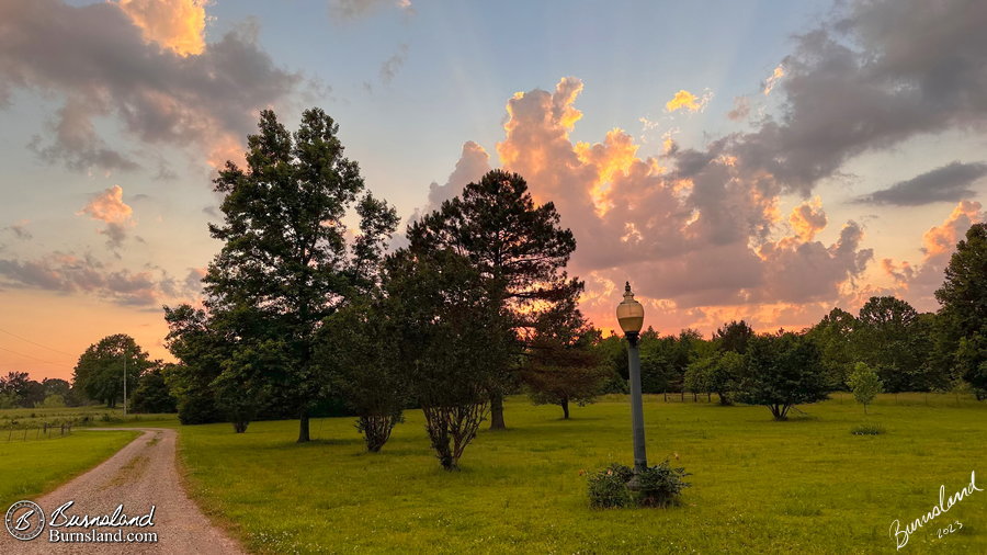 The sunset sky view looking down our driveway